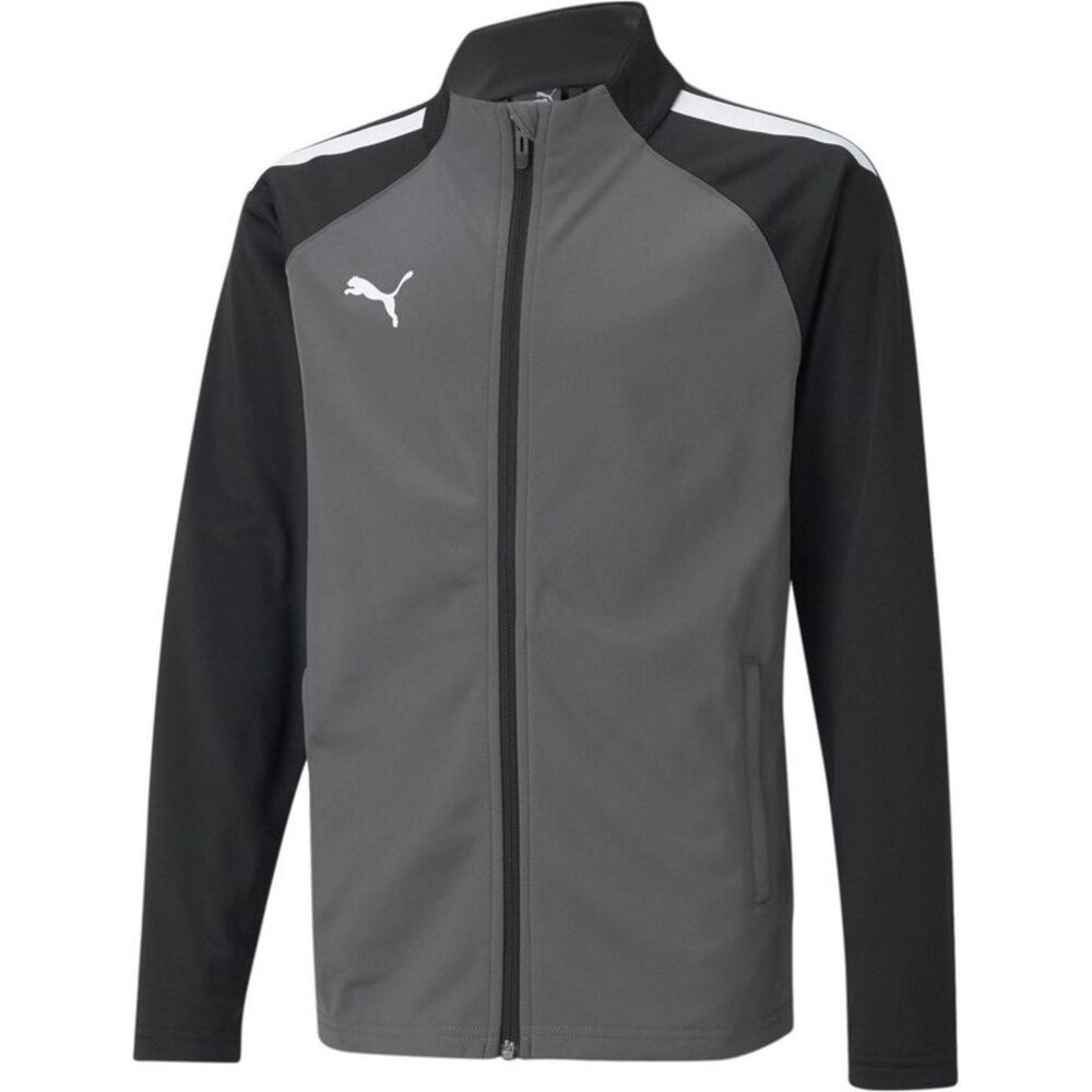 Puma Childrens/Kids Team Liga Training Tracksuit Top / Gray